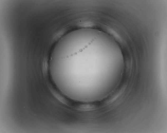 X0000114390541200910231018