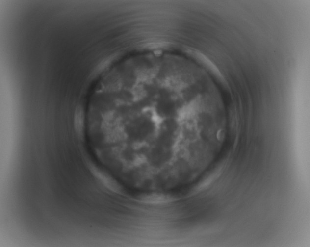 X0000114390542200910231018