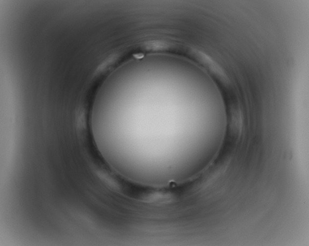 X0000114390543200910231018