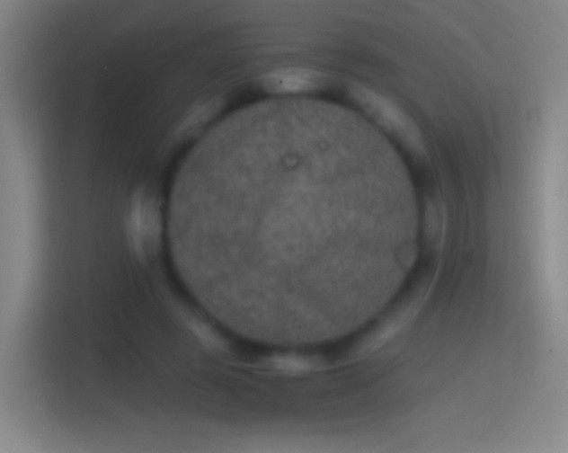 X0000114390545200910231018