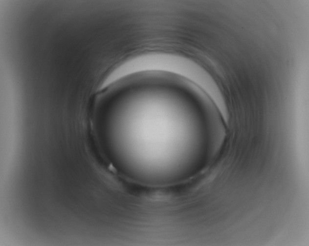 X0000114390546200910231019