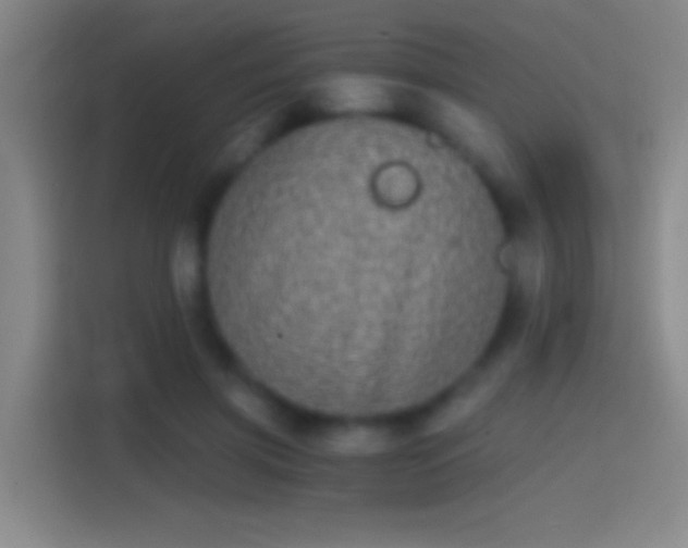 X0000114390549200910231019
