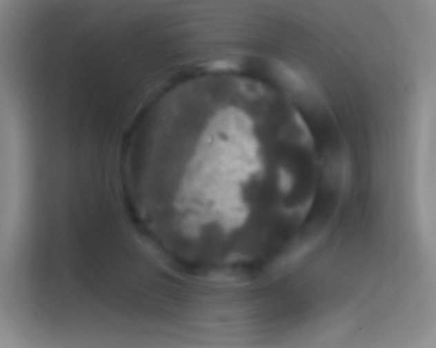 X0000114390550200910231019