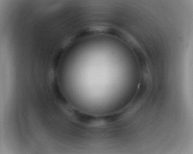 X0000114390551200910231019