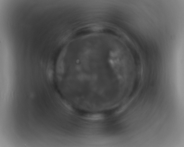 X0000114390553200910231019