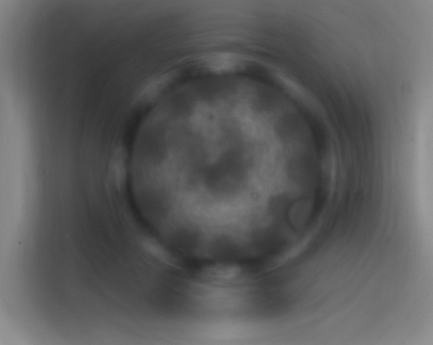 X0000114390554200910231019