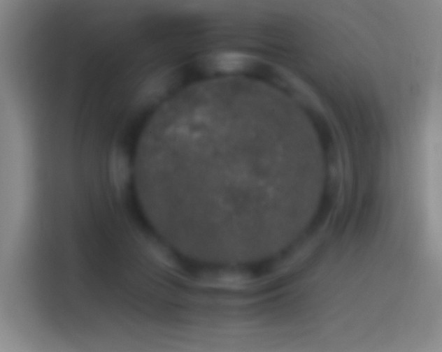X0000114390555200910231019