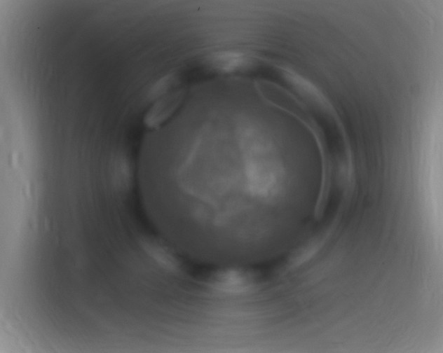 X0000114390558200910231019