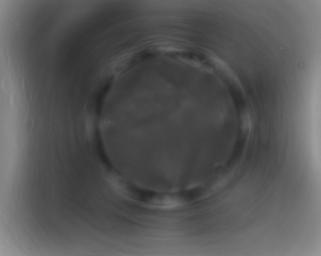X0000114390559200910231019