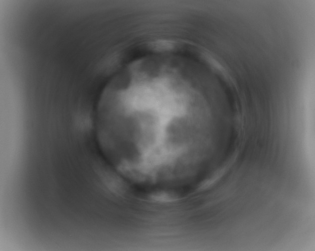 X0000114390561200910231019