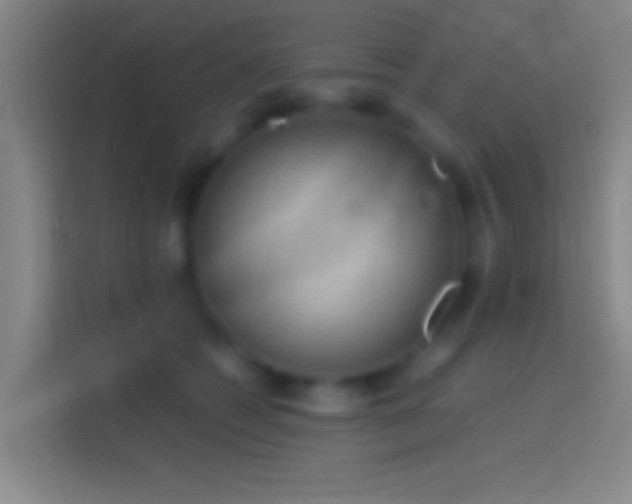 X0000114390562200910231019