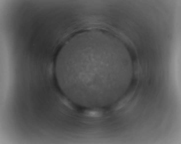 X0000114390563200910231019