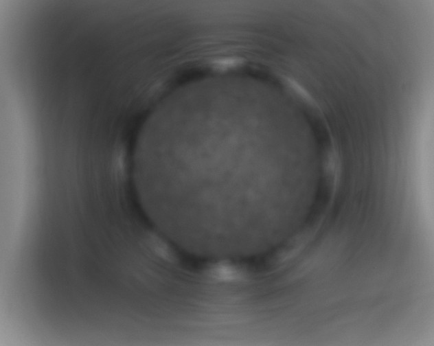 X0000114390565200910231019