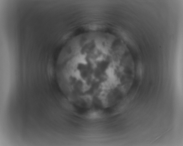 X0000114390569200910231019