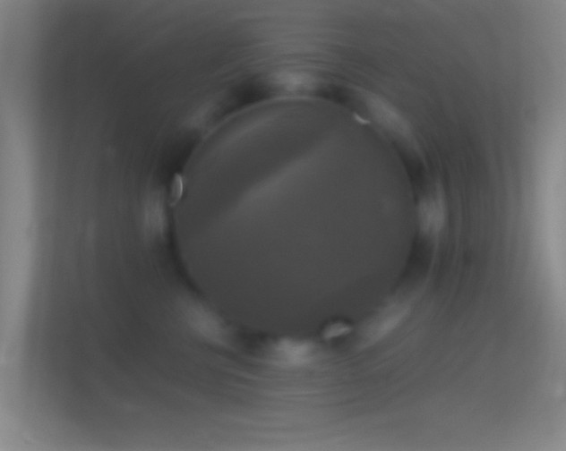 X0000114390570200910231019
