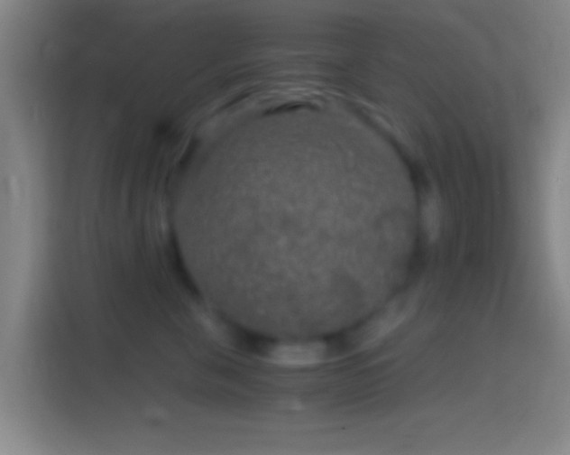 X0000114390571200910231019