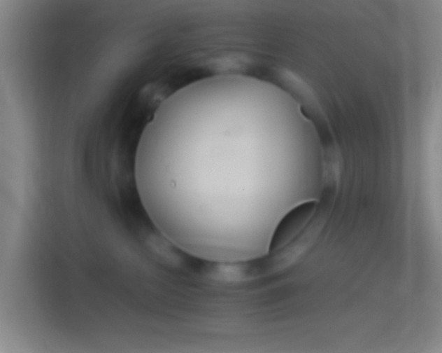 X0000114390573200910231019