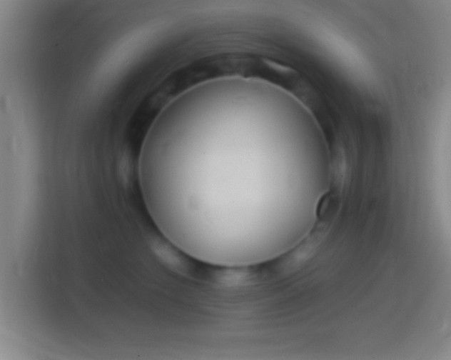 X0000114390574200910231019