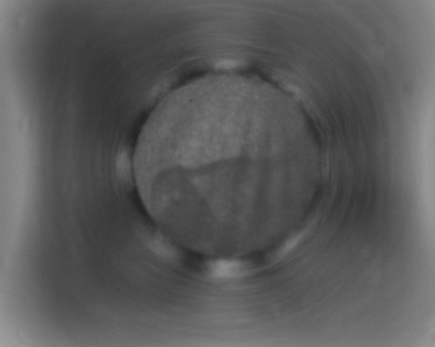 X0000114390575200910231019