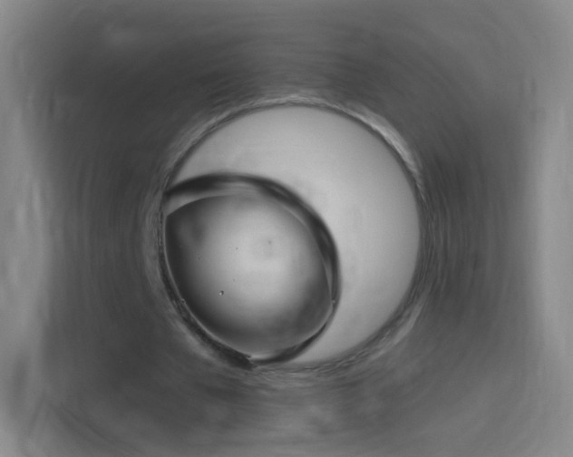 X0000114390577200910231018