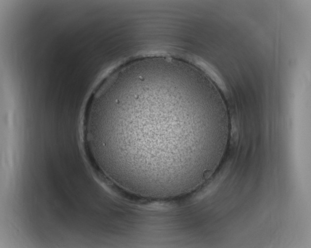 X0000114390578200910231018
