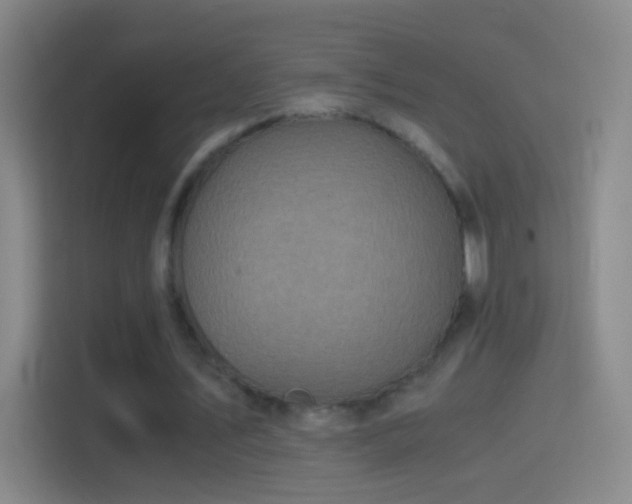X0000114390579200910231018