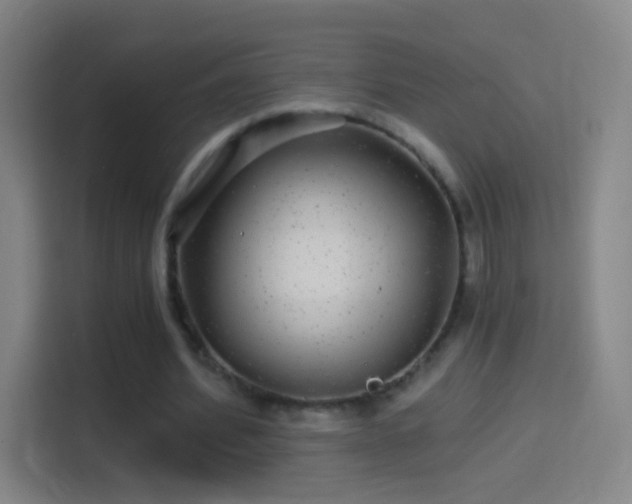 X0000114390580200910231018