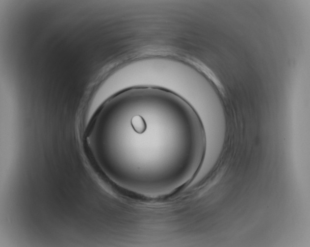 X0000114390581200910231018