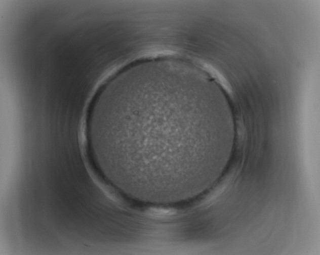 X0000114390582200910231018