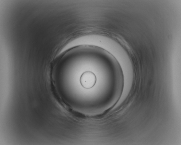 X0000114390585200910231018