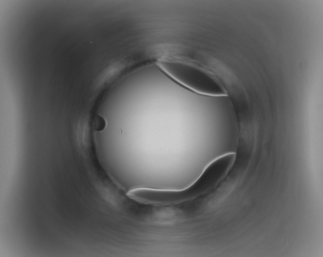 X0000114390587200910231018