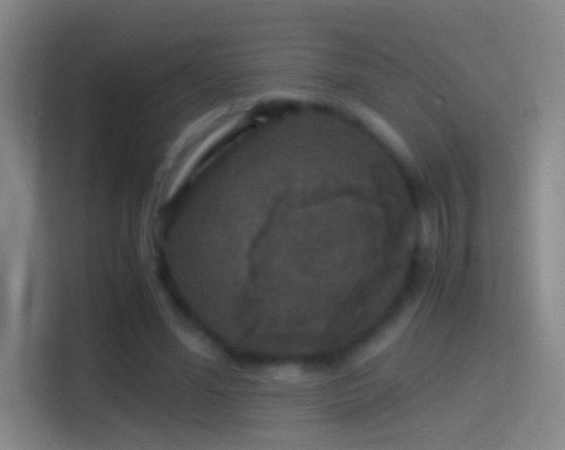 X0000114390588200910231018