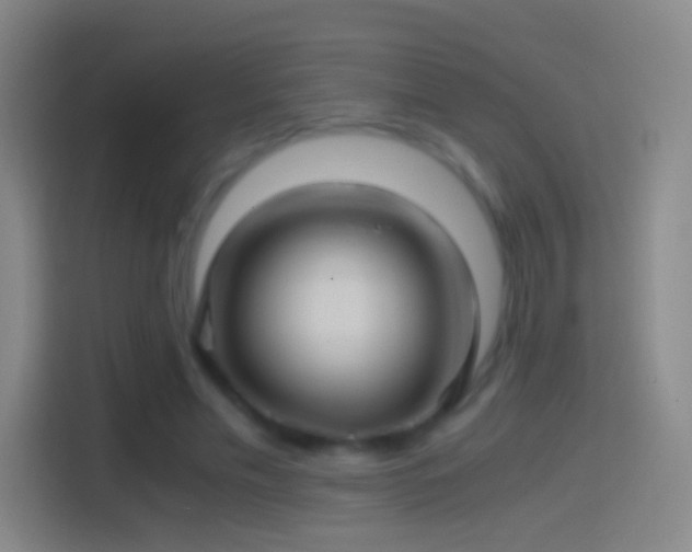 X0000114390589200910231018