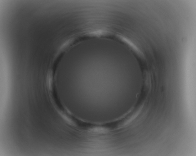 X0000114390590200910231018