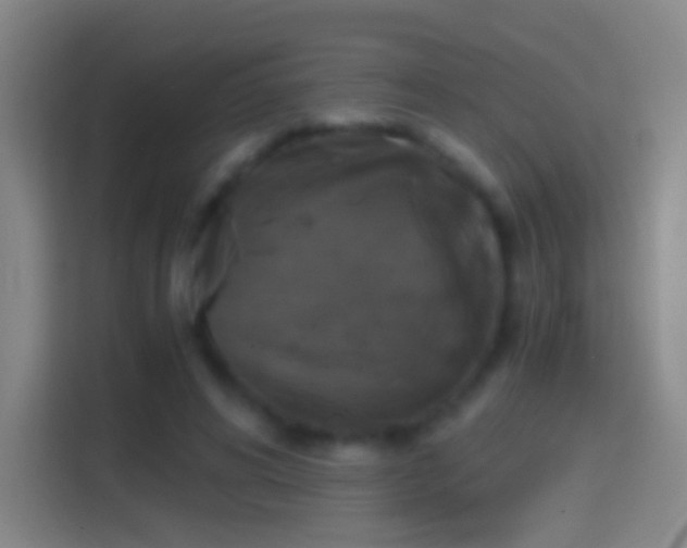 X0000114390592200910231018