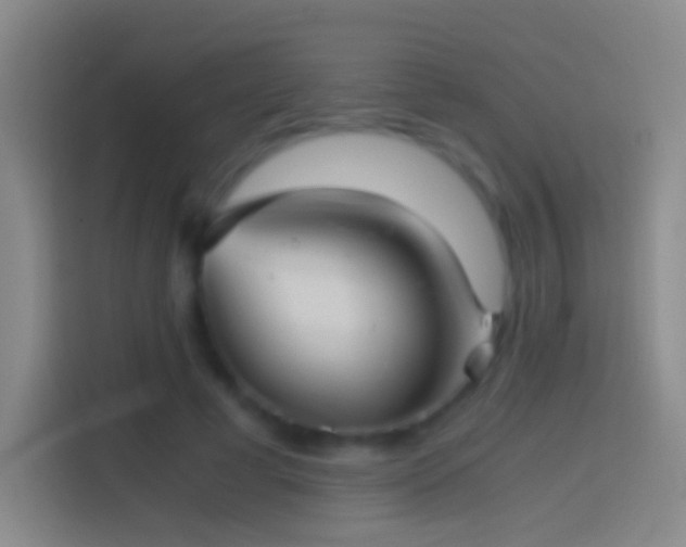 X0000114390593200910231018