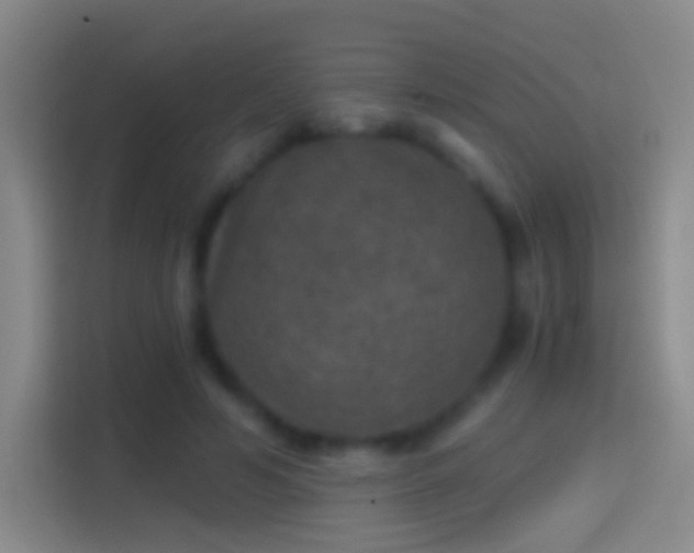 X0000114390594200910231018