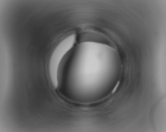 X0000114390595200910231018
