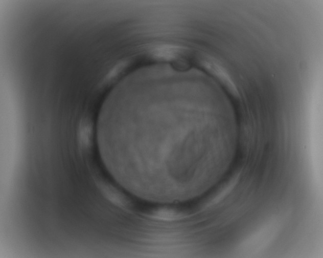 X0000114390596200910231018