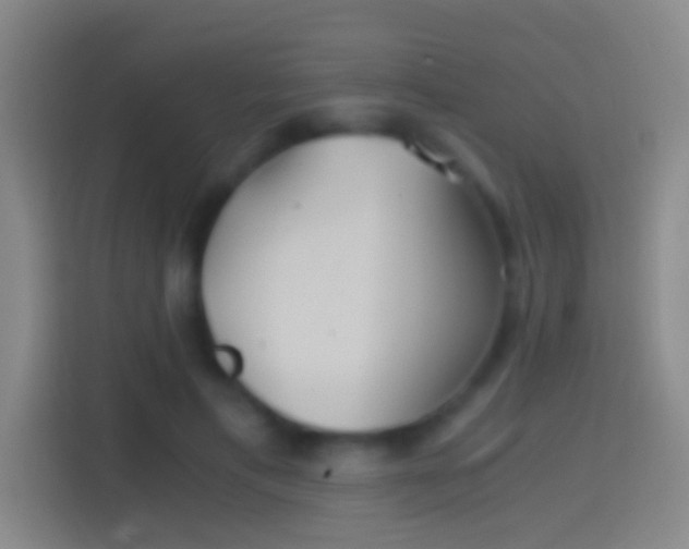 X0000114390597200910231018
