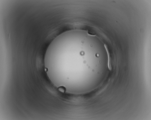 X0000114390599200910231018