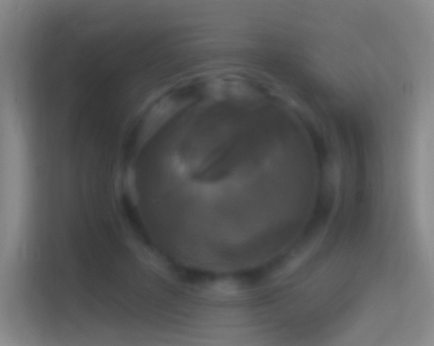 X0000114390600200910231018