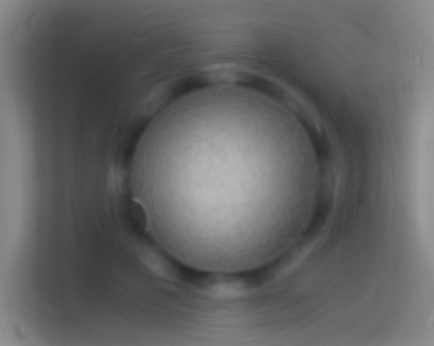 X0000114390601200910231018