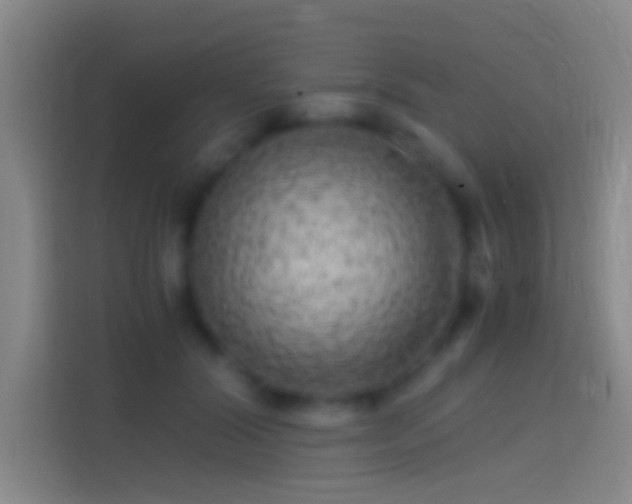 X0000114390604200910231018