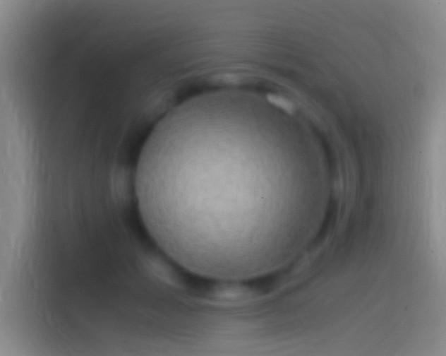 X0000114390605200910231018