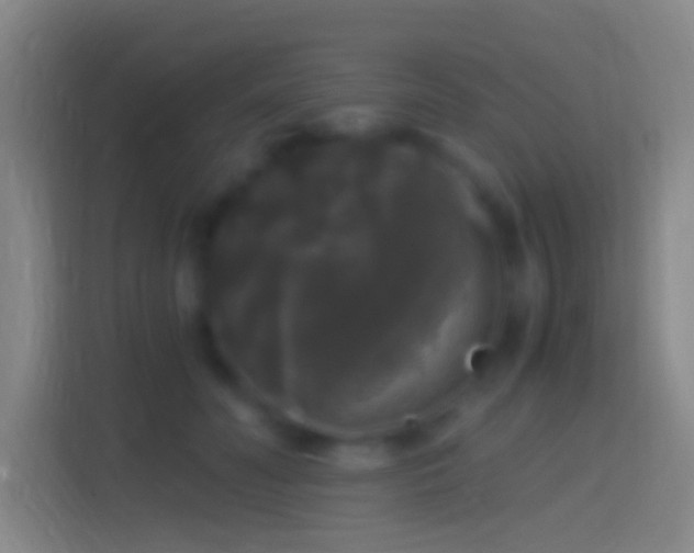 X0000114390606200910231018