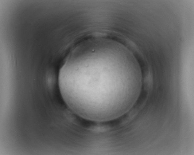 X0000114390608200910231018