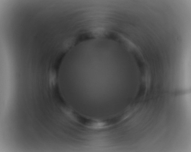 X0000114390610200910231018