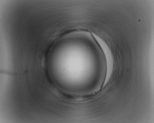 X0000114390611200910231018