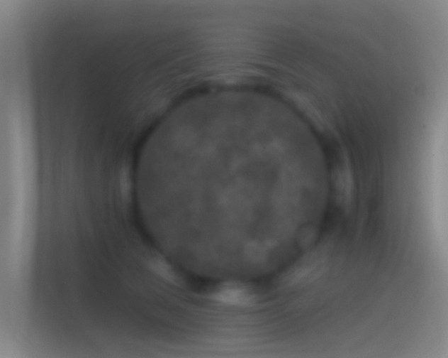 X0000114390612200910231018